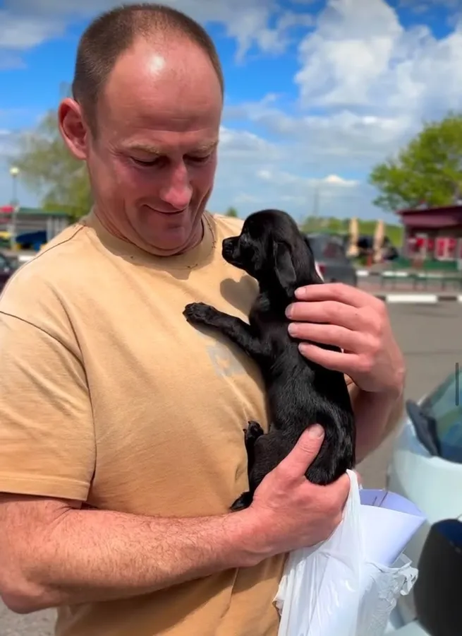 A man holding a small black chihuahua puppy on pickup day