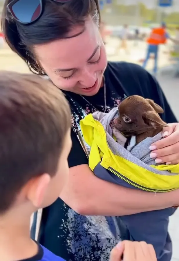 A woman and her son with their new chocolate chihuahua puppy